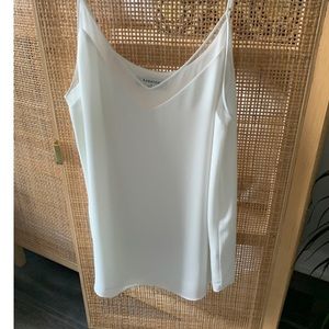 babaton tank top (Aritzia)